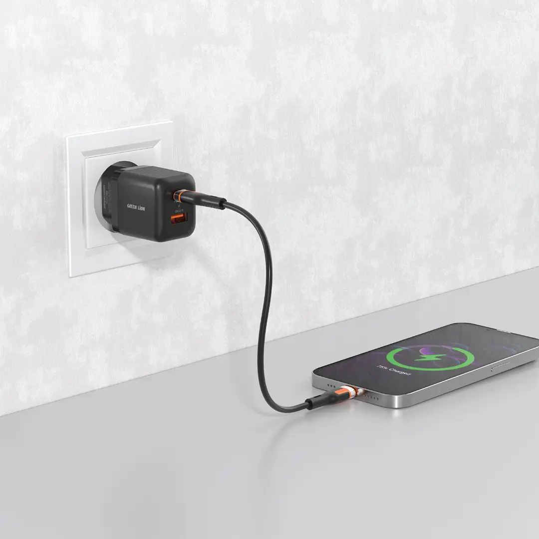 Green Lion Ultra Compact GaN Wall Charger EU Pin A+C 20W (with C to C Cable)